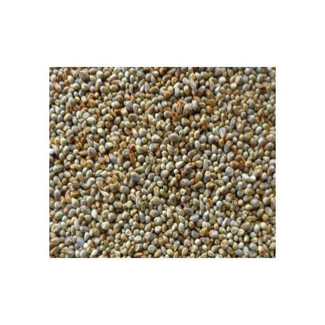 Millet Feed Product 3