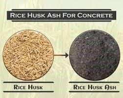 Rice Husk Product 3