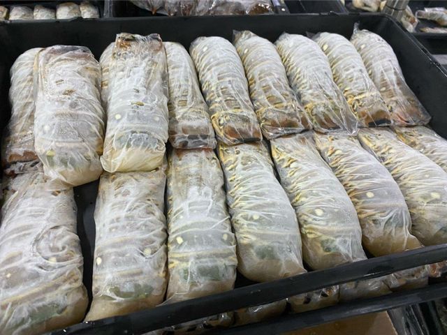 Frozen Spiny Lobster Product