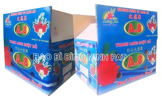 Wax-dipped dragon fruit packaging carton box detail