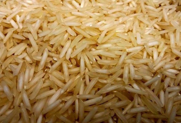 Indian rice in a farm or warehouse
