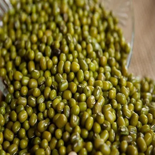 Green Mung Beans 5