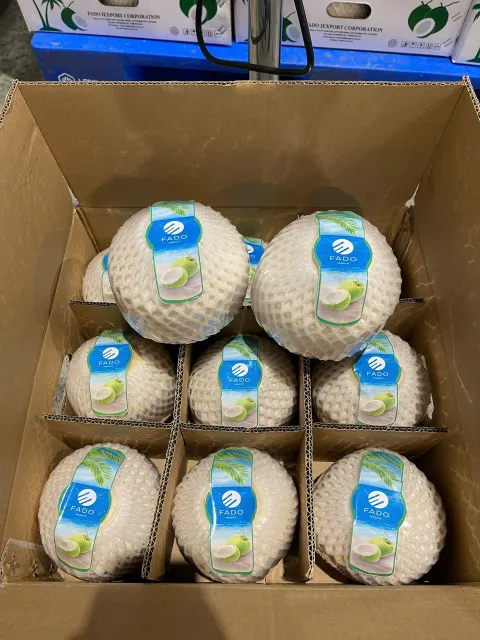 Young Coconut Product