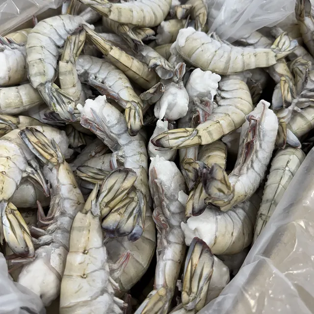 Frozen Black Tiger HLSO Easy Peel Black Tiger Shrimp