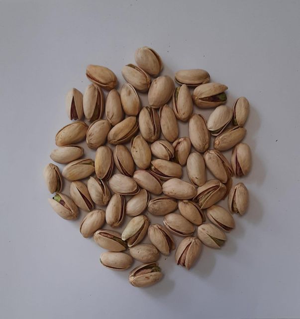 Raw Pistachio in Shell