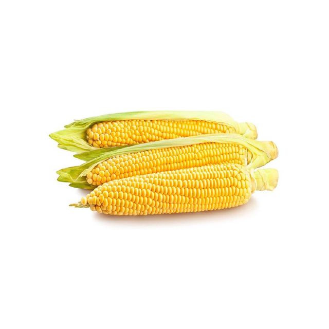 Premium Yellow Maize - Processed for Export
