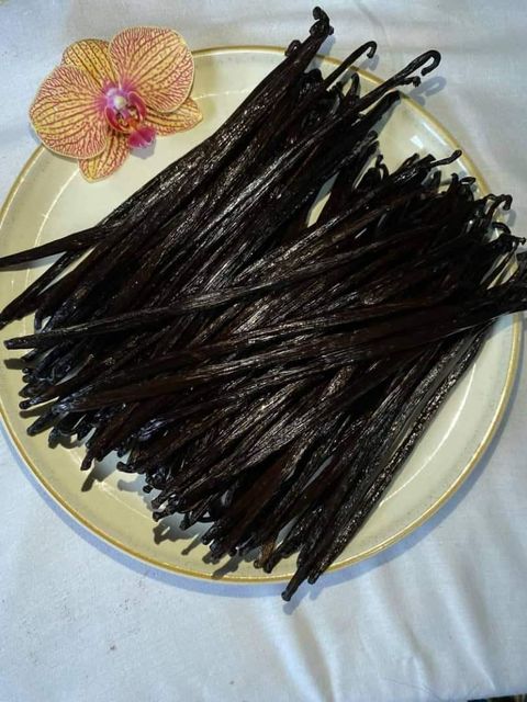 Organic Vanilla Beans