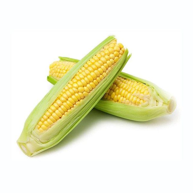 Fresh yellow corn with natural sunlight