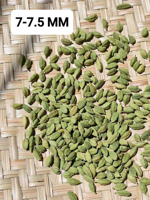 Heap of dry green cardamom pods in natural light