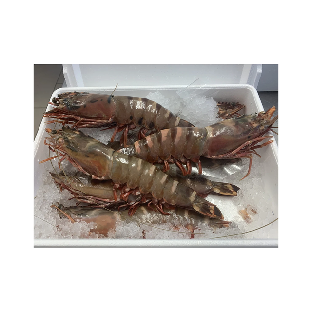 Natural Prawn