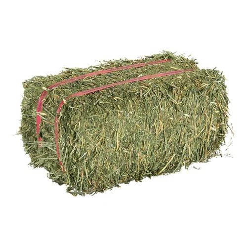 Alfalfa Hay 5