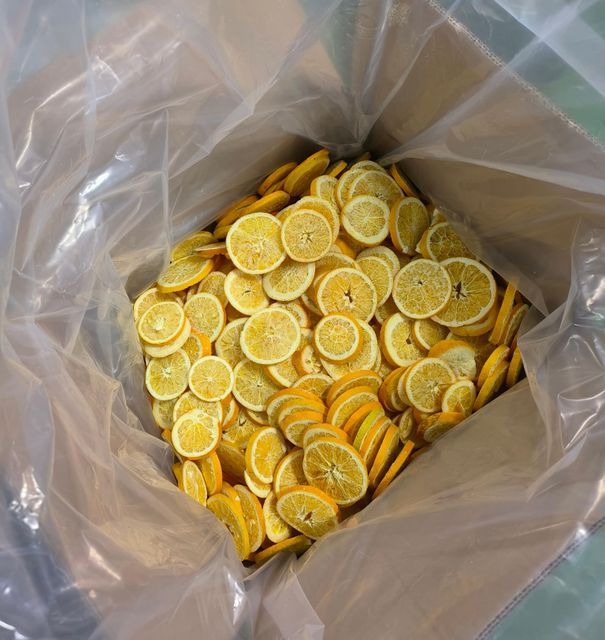 Dried Orange Slice 3