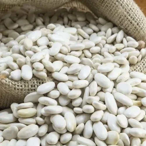 Wholesale Beans