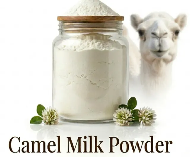 Camel Milk Powder Product Image