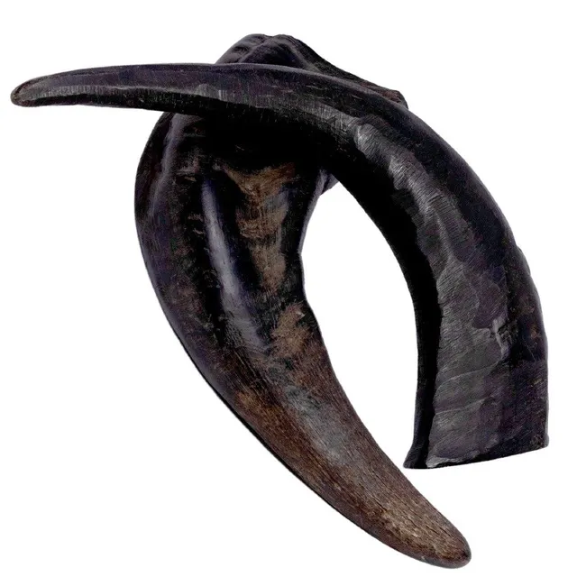 Horn Dog Chew Image 3