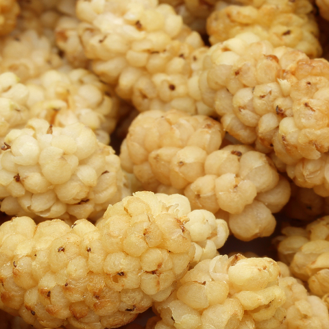Dried Mulberries 1
