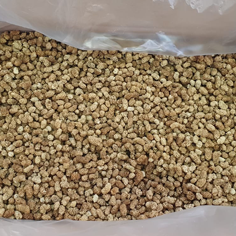 Dried Mulberries 3
