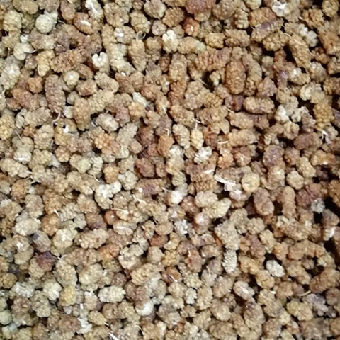 Dried Mulberries 4