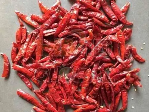 Dried Red Chili