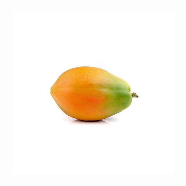 Famous 1 Foot Long Papaya Hybrid - Super Sweet Tropical Fruit