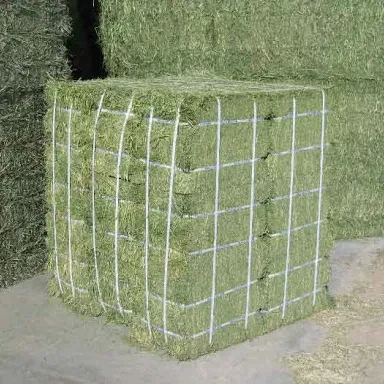 Fresh Alfalfa Hay for Livestock