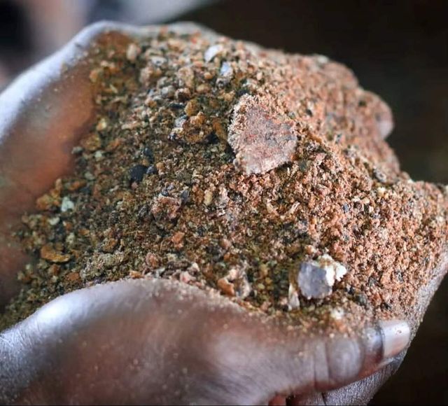 Palm Kernel Cake Seeds Natural Animal Feed