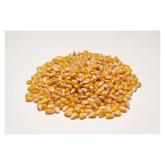 Reliable Yellow Corn