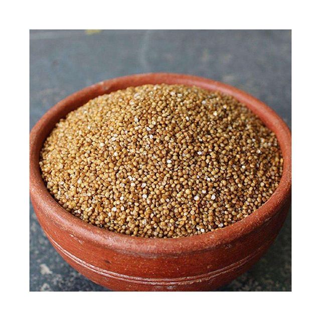 Flax Seed Image 3