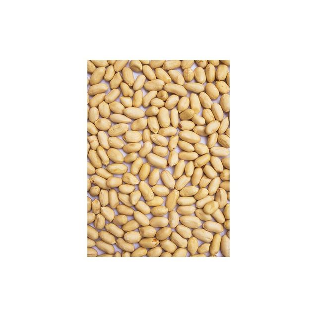 Blanched Peanut Kernels 2