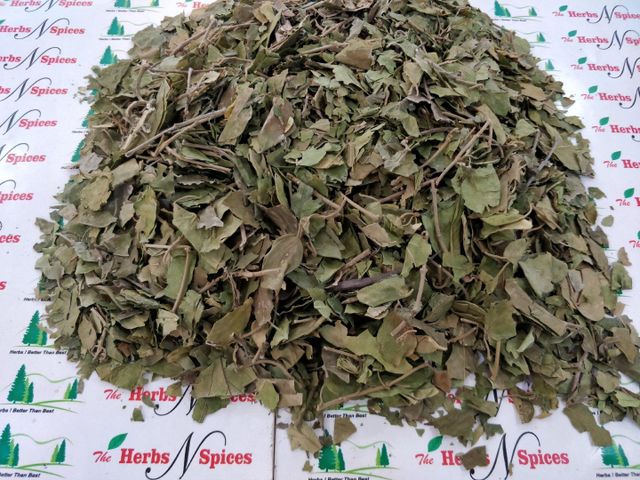 Gymnema Product 3