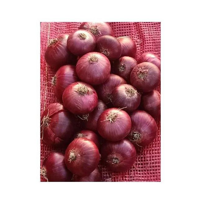 Fresh Red Onion - Large Harvest