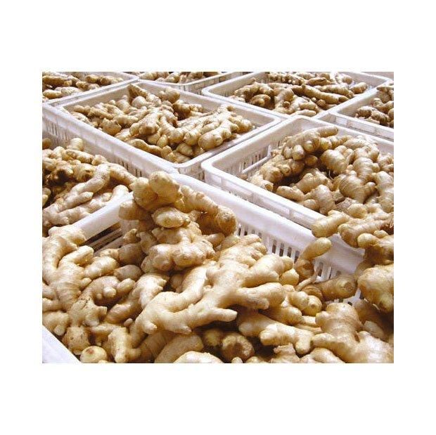 Premium ginger root slice