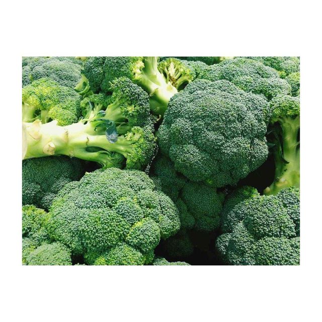 Fresh Broccoli