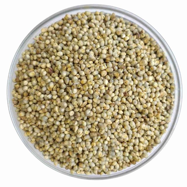 Natural Bajra in Bulk Packaging