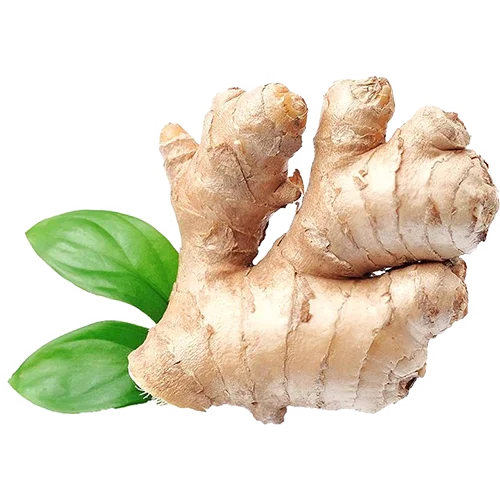 Premium Fresh Ginger 5