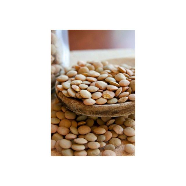 Bulk Lentil Seed Container