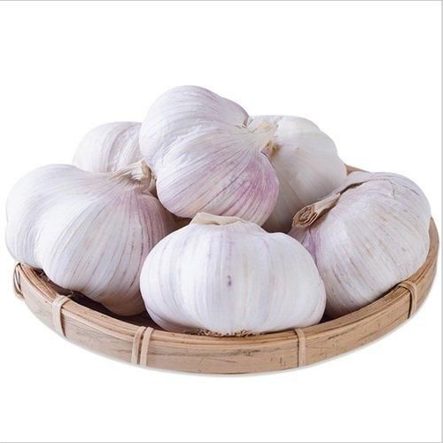 Garlic Image 1