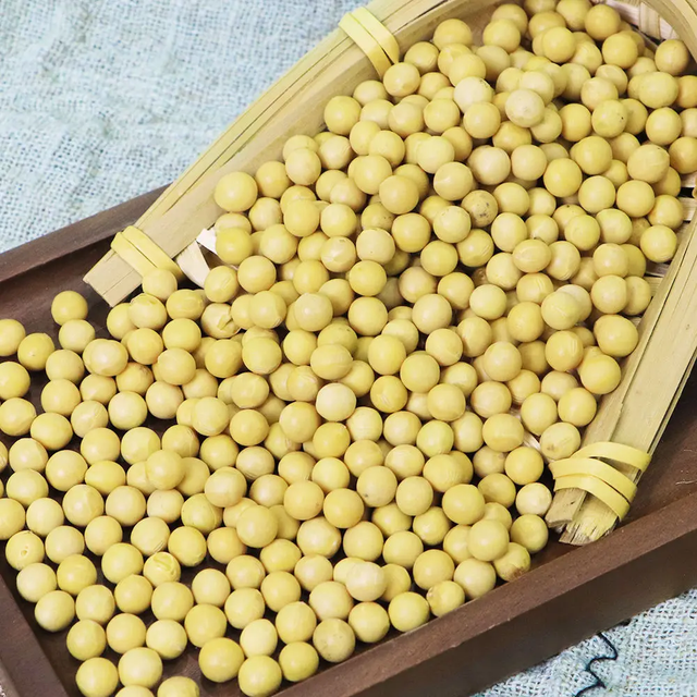 Premium Soybeans in Packaging