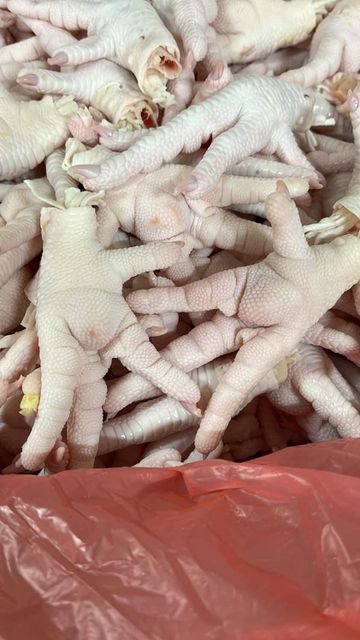 Frozen Chicken Feet & Paw Mix