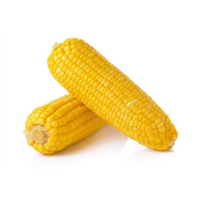 Reliable Yellow Corn