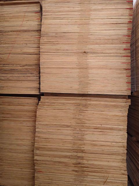 Various plywood sheets on display