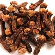 Clove Bud Extract SFE - Bottle View