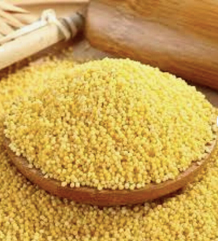 Yellow Millet in Container