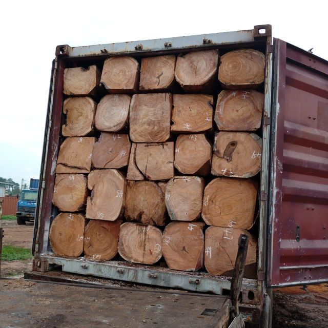Tali Iroko Product