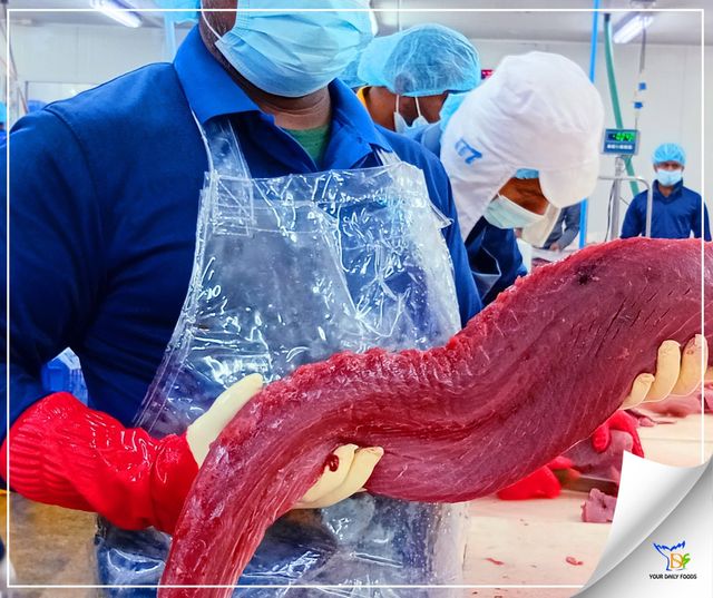 Fresh Yellowfin Tuna Product