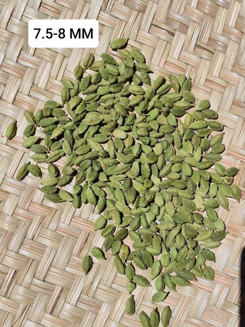 Packaged dry green cardamom pods in a bowl
