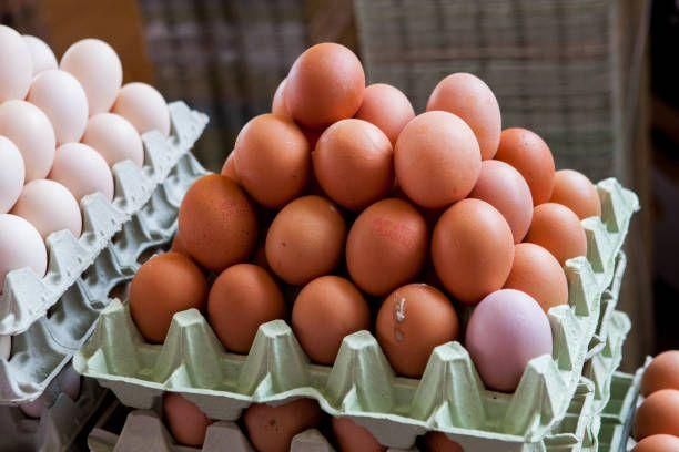 Cooked High Protein Chicken Eggs