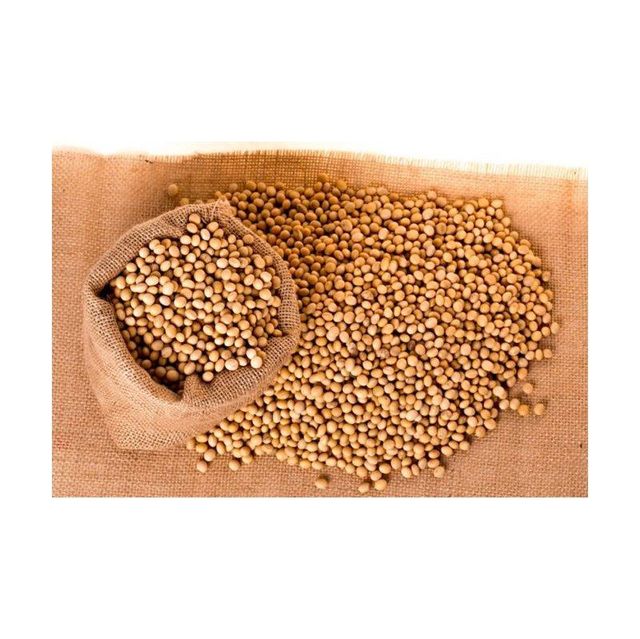 High Quality Non GMO Yellow Soybeans