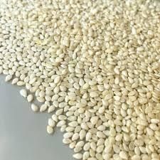 White Sesame Seeds 3