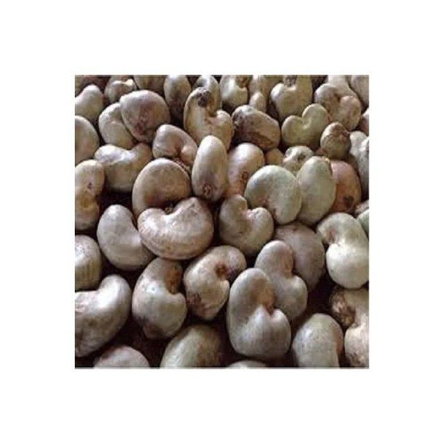 Raw Cashew Nut Image 3